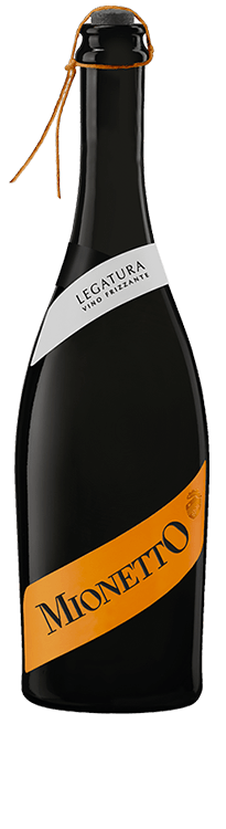 MIONETTO Mionetto Legatura