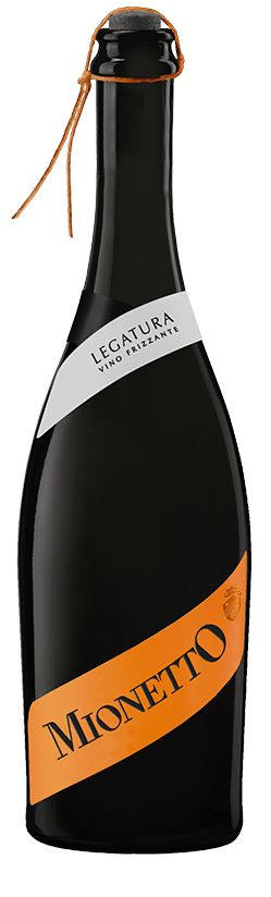 MIONETTO Legatura Mionetto 